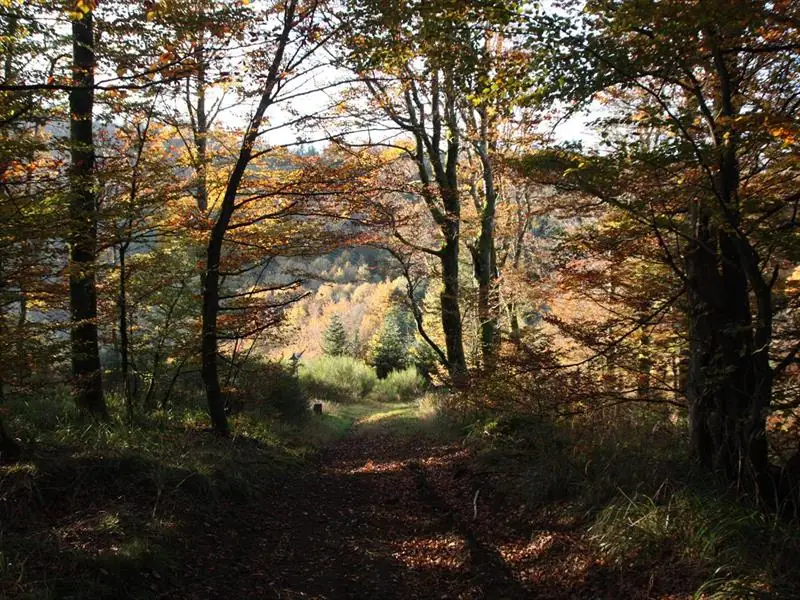 Visite guidée du chemin de la résistance