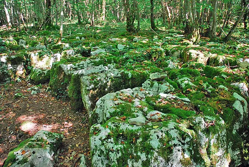 Site du mausolée gallo-romain de Faverolles