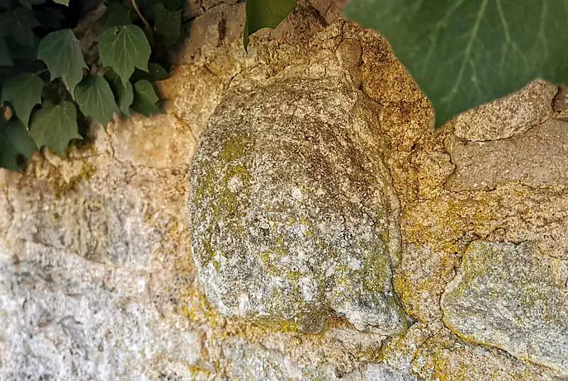 Tête sculptée en bossage à Musseau
