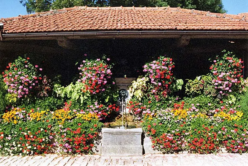 Lavoir de Noidant-le-Rocheux