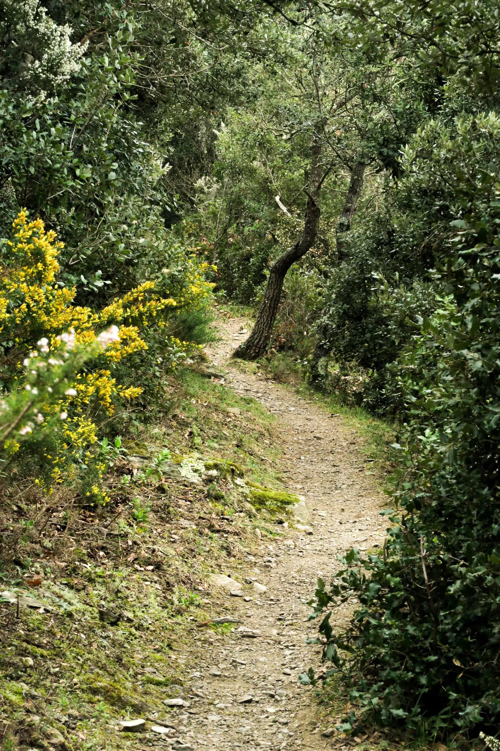 RANDO ACCOMPAGNEE : LE PUIG MARBET ET LES VILLAGES DE LA VALLEE DU LLECH