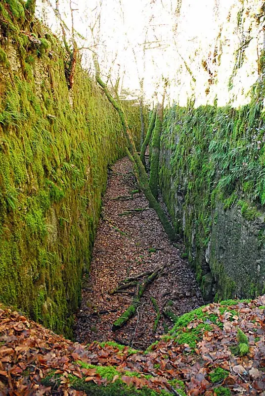 Ouvrage du bois de Champigny