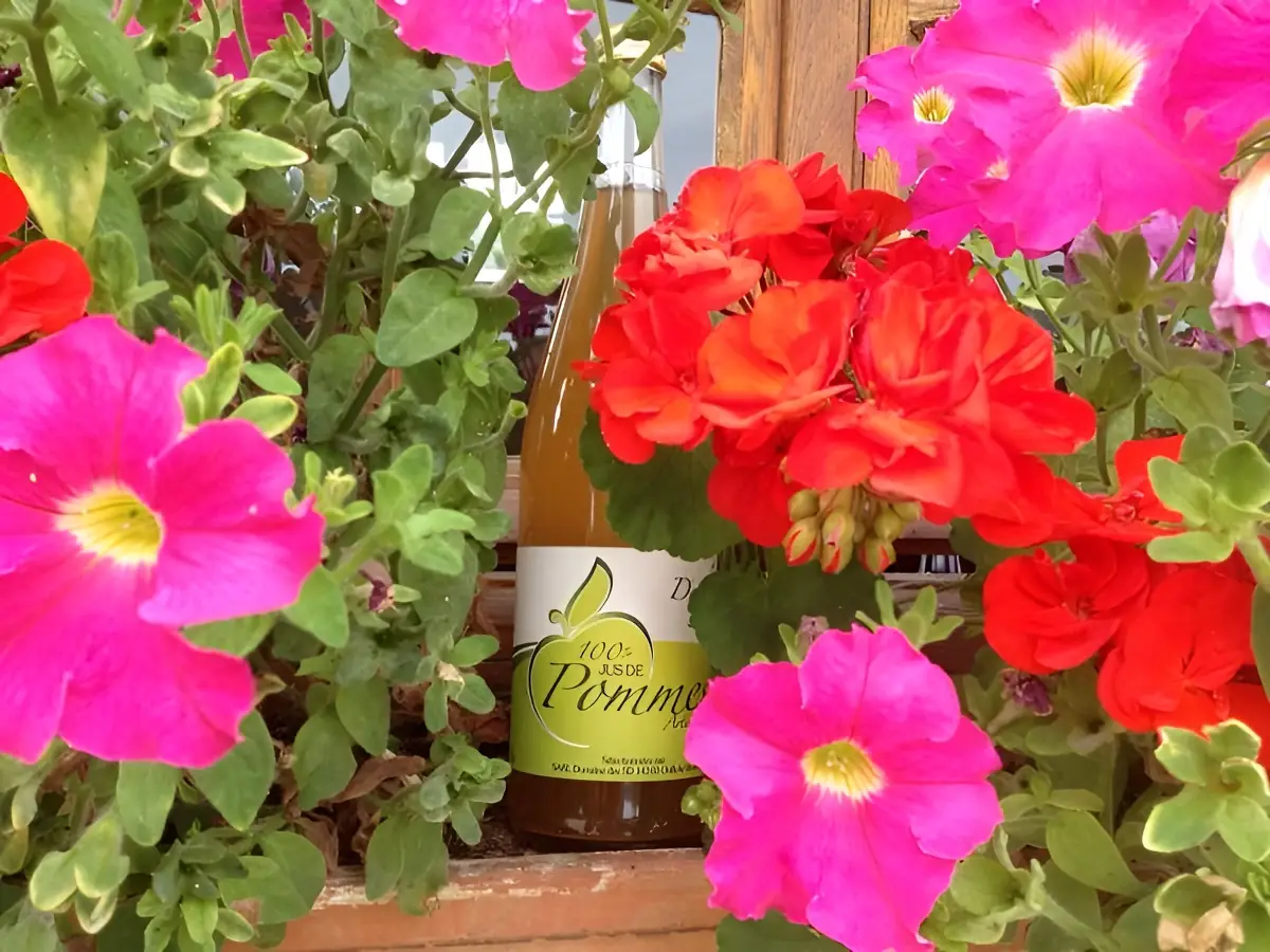Domaine des 5 D - Cidrerie Daufresne