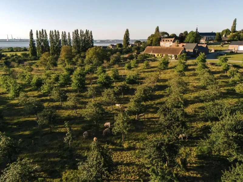 Les visites guidées de l'été au Manoir d'Apreval
