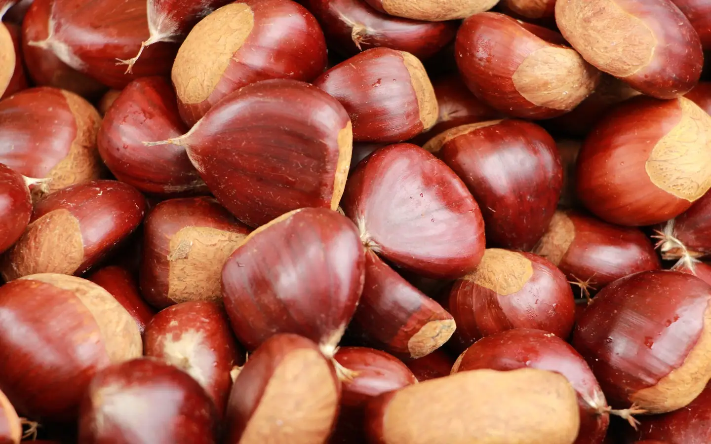 Marché aux produits de bouche et créateurs