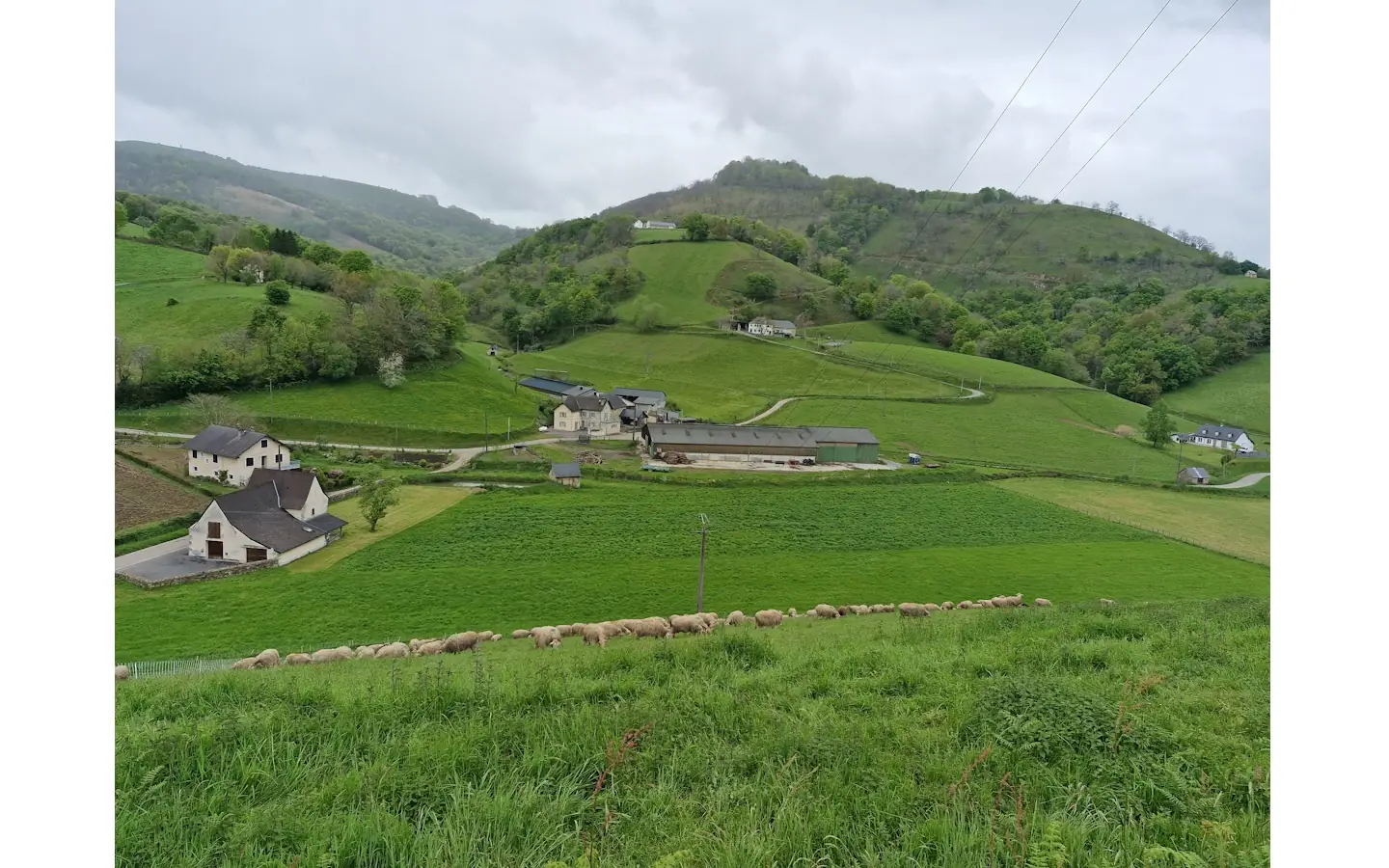 Visite de la ferme Burgubu