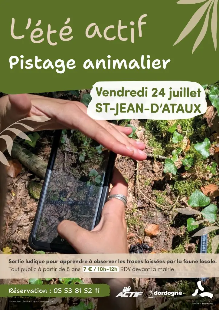 Eté actif : Pistage animalier