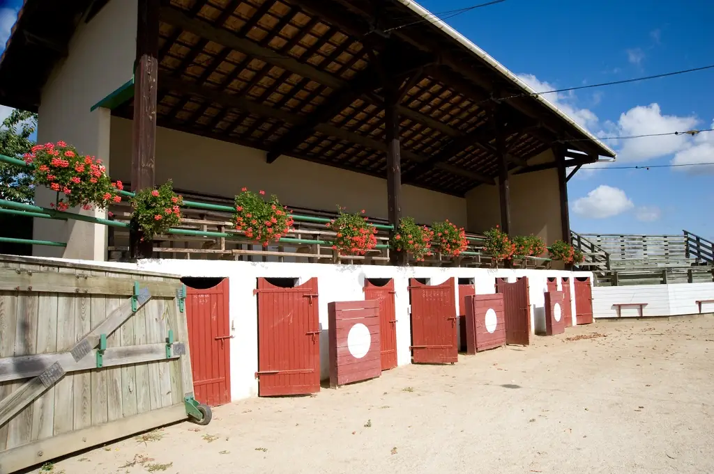 Arènes de Larbey