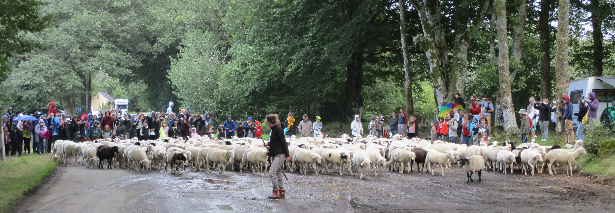 Faites des bergers