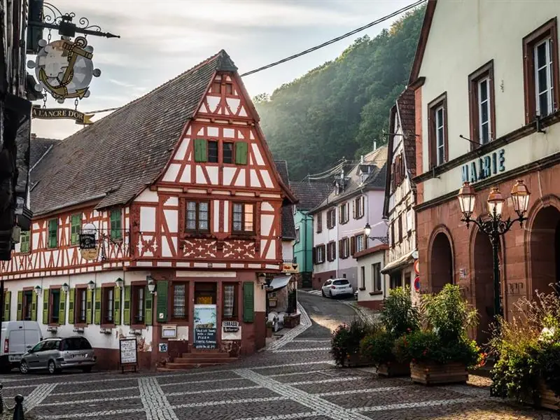 Exposition : À la découverte de l'Alsace Verte