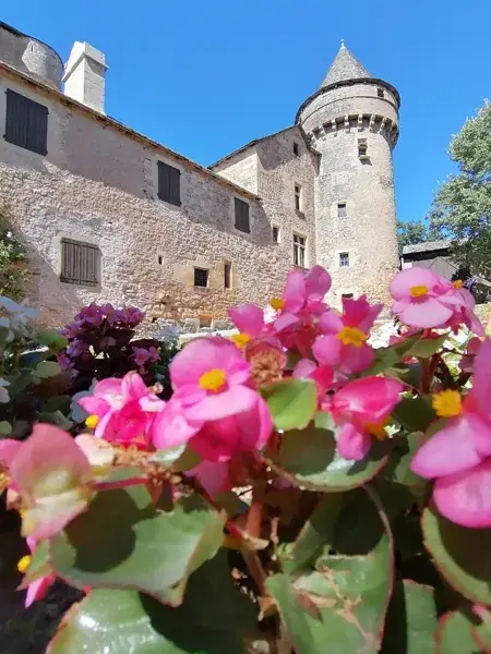 Château des Bourines