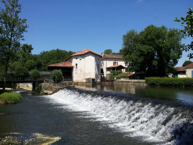 Les Ateliers Nature au Moulin de la Dronne