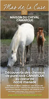 Mas de la Cure - Maison du Cheval Camargue