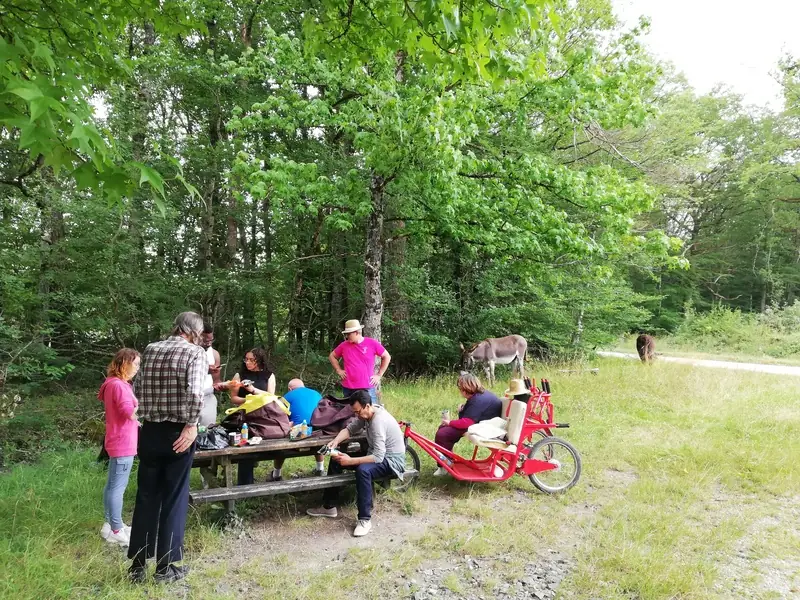 Randonnée en autonomie avec les ânes