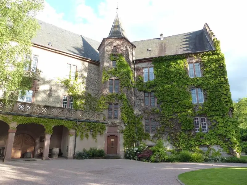 Atelier - Découvrez les millésimes anciens : terroirs d'exception