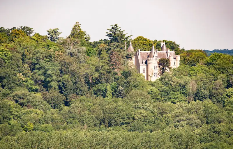 Château de Fougeret