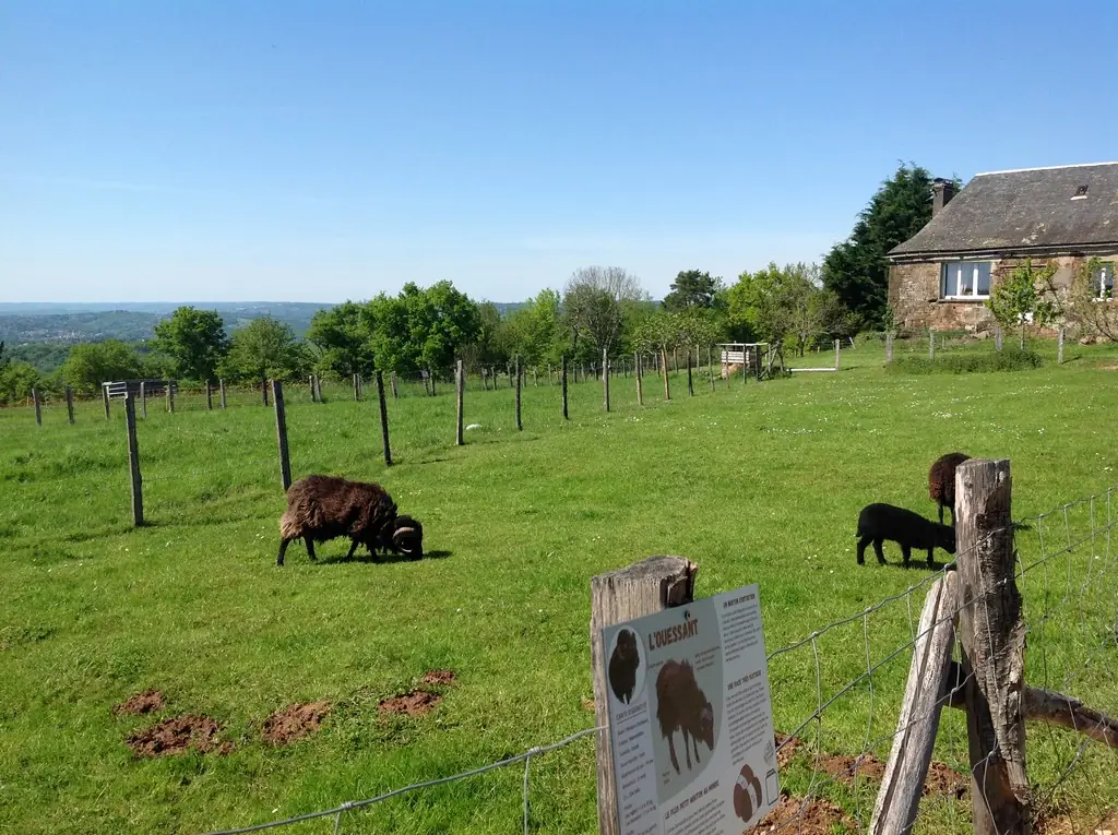 La Ferme de Brossard - Ferme Pédagogique et de Découverte