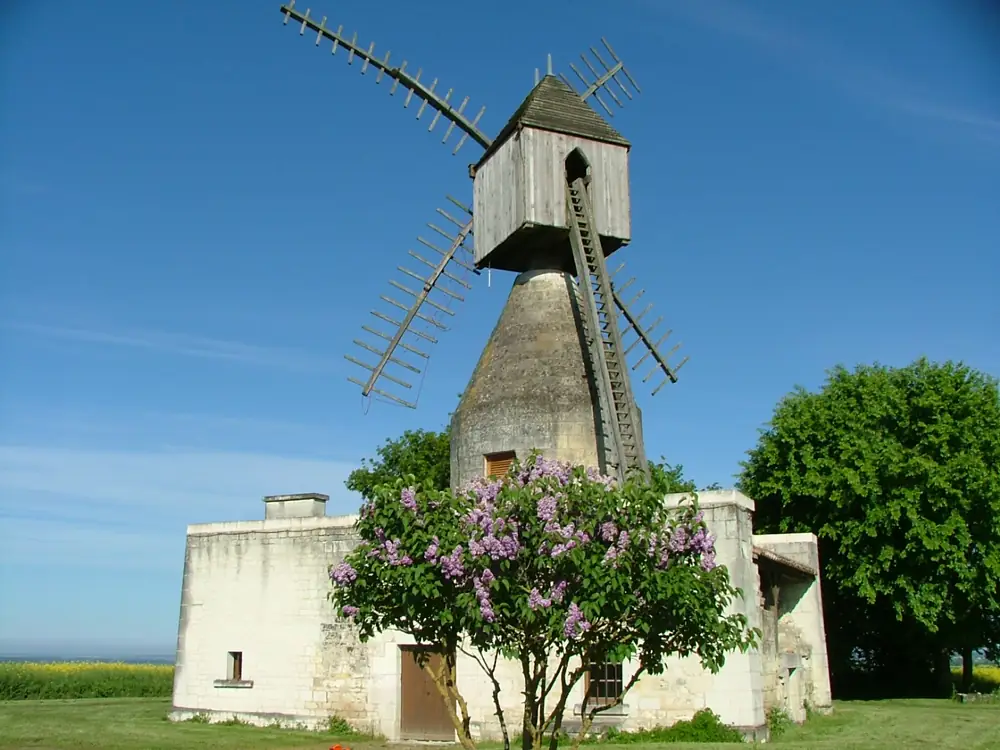 Moulin de Puy d'Ardanne