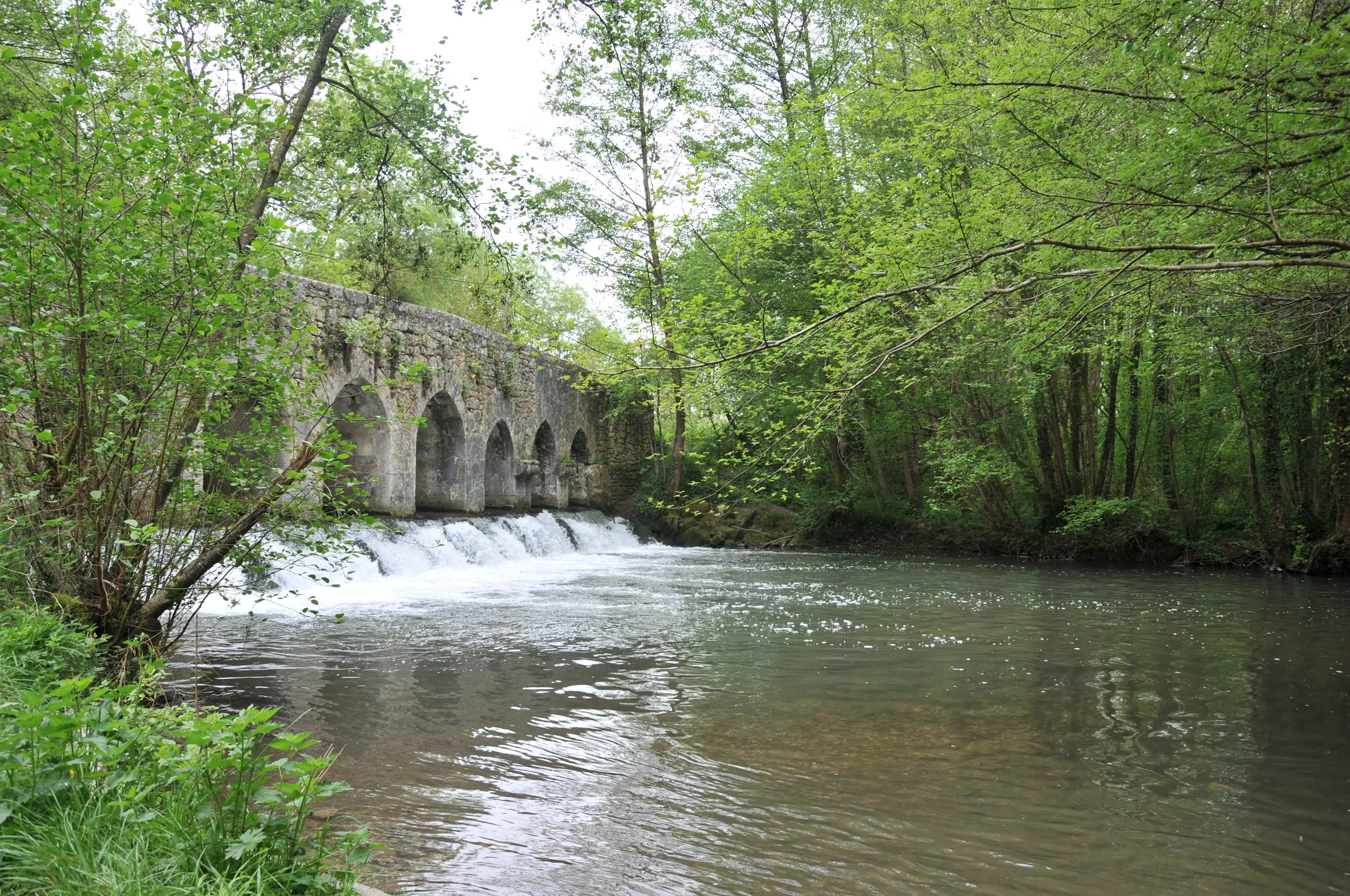 Le Pont du Gril de Corbelin