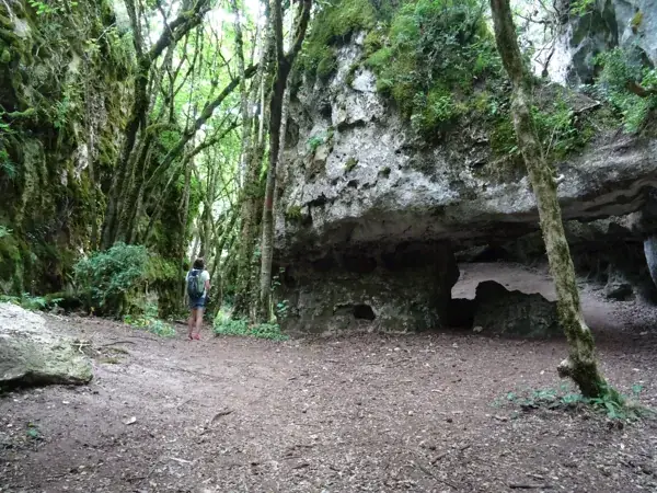 Randonnée "Les Canalettes secrètes et la jungle du Larzac"
