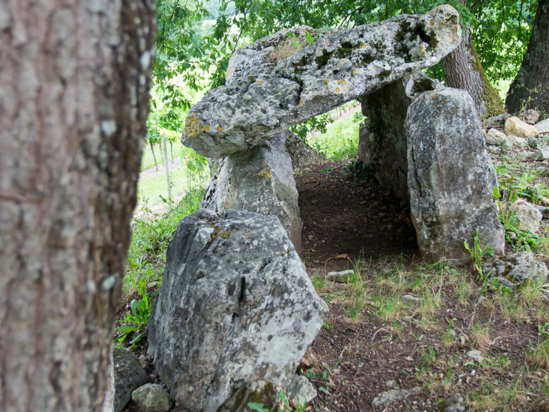 Dolmen de Curton