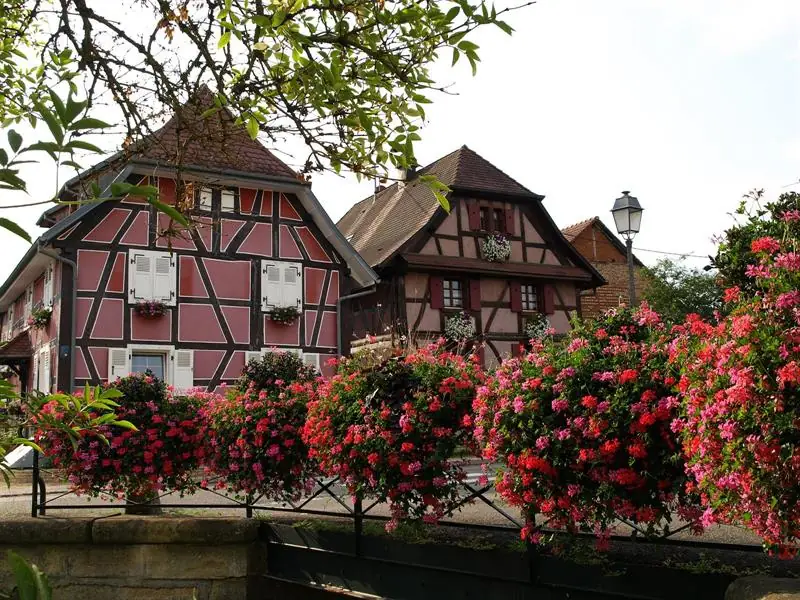Visite des jardins et des rues fleuries d'Hirtzbach