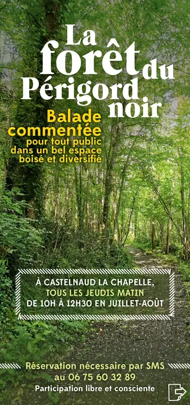 La Forêt du Perigord Noir: Balade commentée