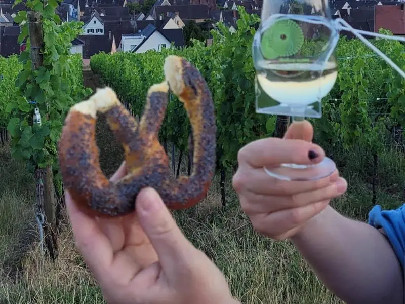 Apéro gourmand au domaine Tappe