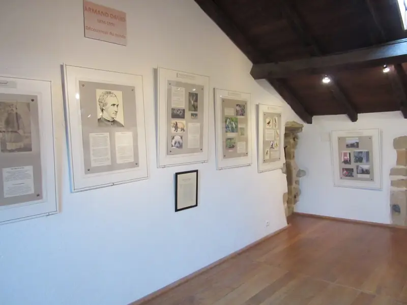 Exposition Armand David