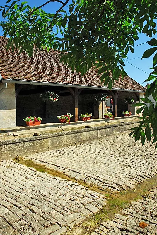 Fontaine - lavoir de Voisines
