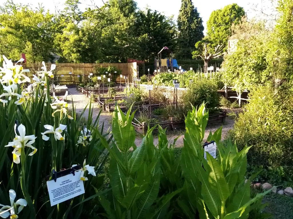 Le jardin médiéval de Cardaillac fête ses 20 ans !