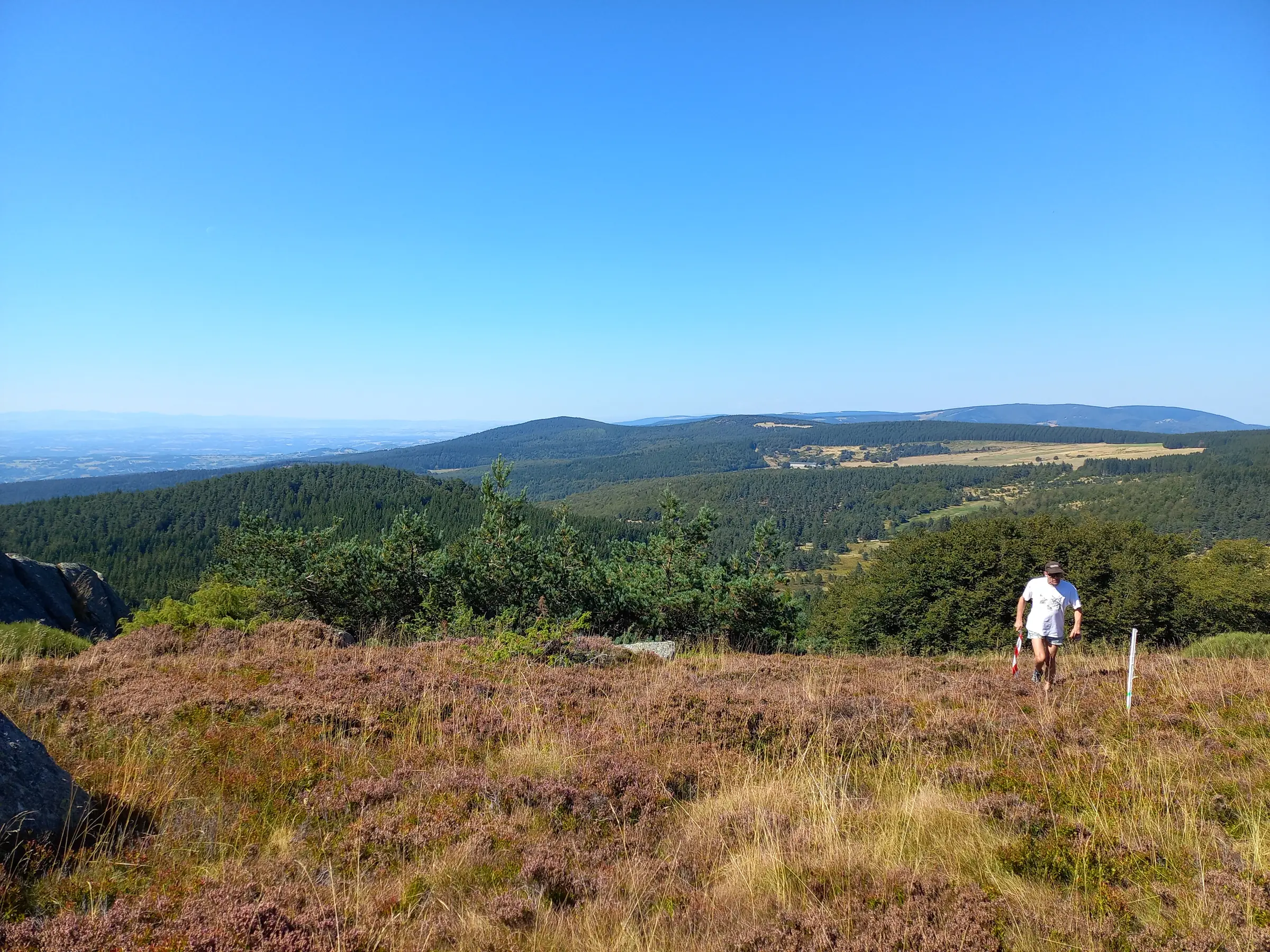 TRAIL DE LA MARGERIDE 2026 - "SUR LES PAS DE LA BÊTE"