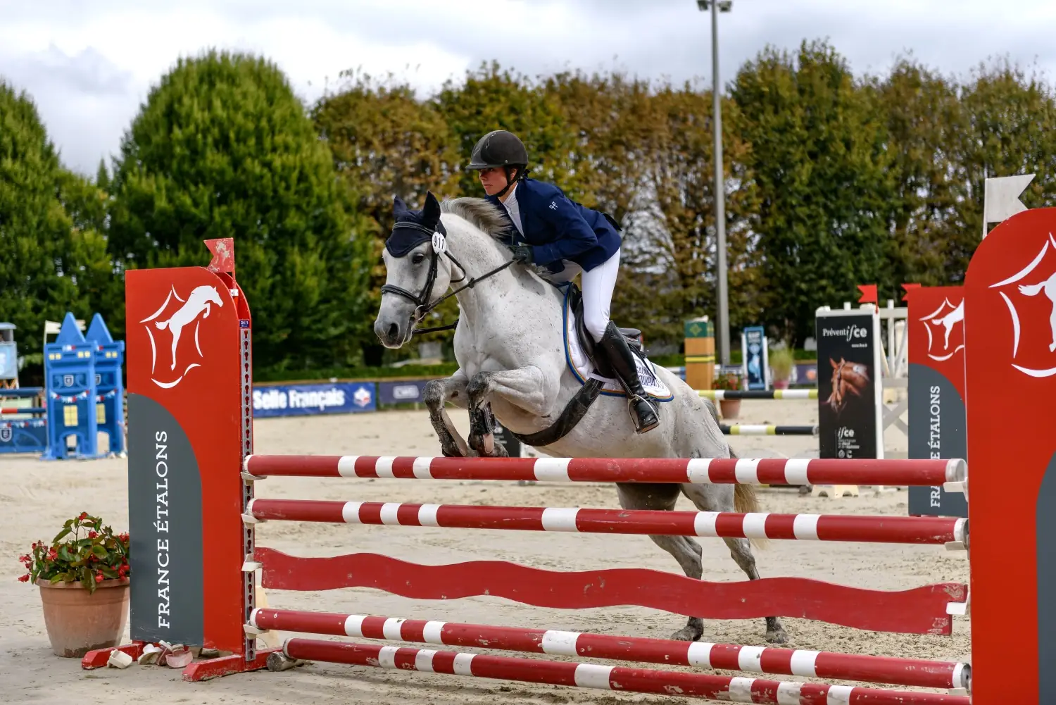 Fête du Cheval