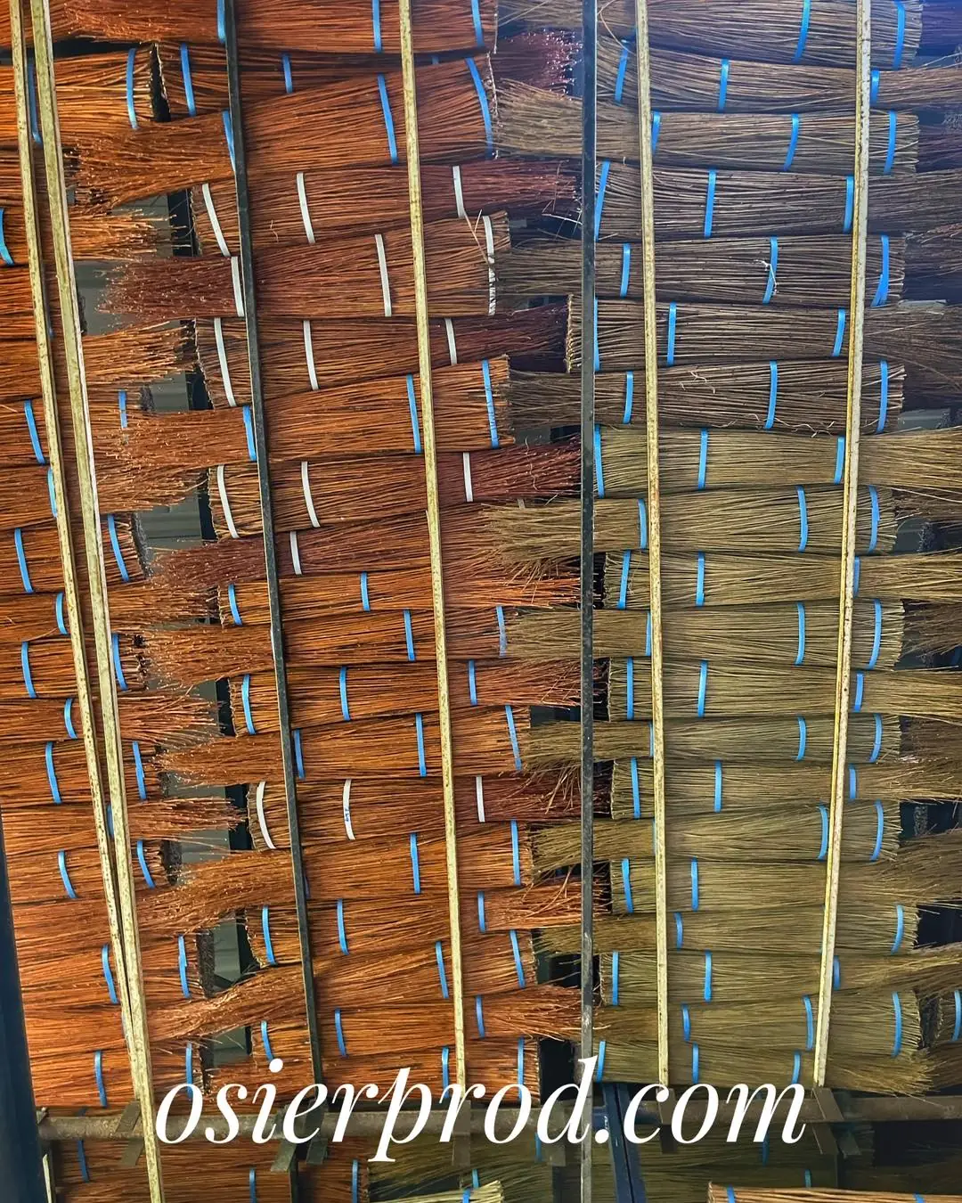 Visite d'une exploitation productrice d'osier "l'entretien"