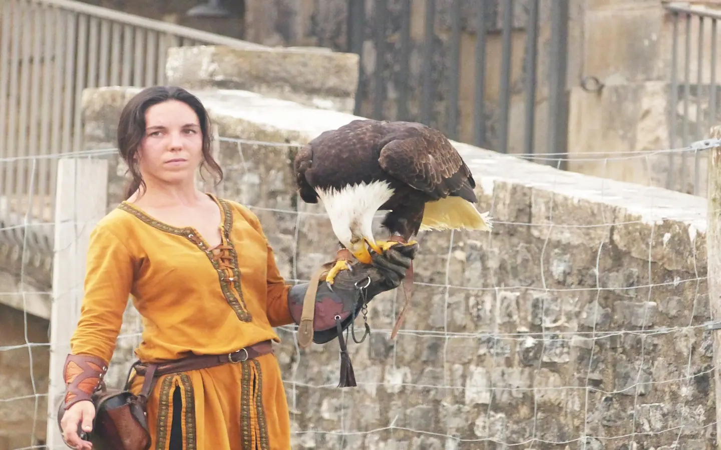 Spectacle des sabots et des ailes
