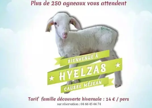 FERME DU GAEC DE HYELZAS