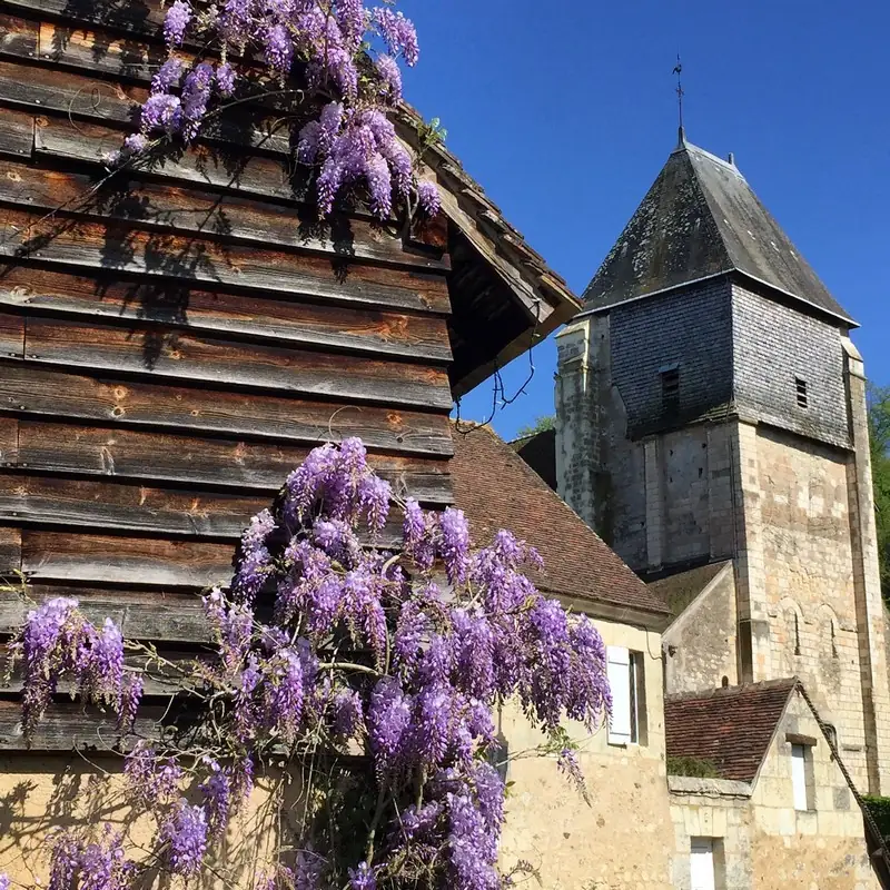 Visite du village médiéval de Lavardin