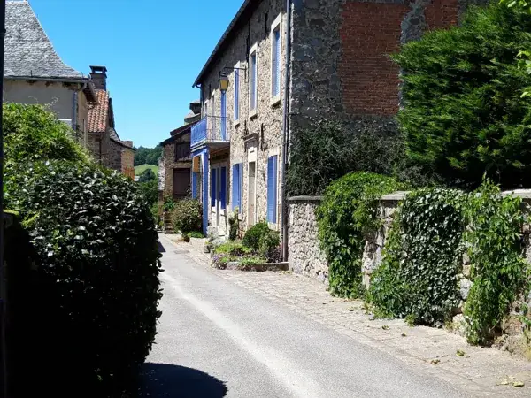 Visitez La Bastide l'Evêque