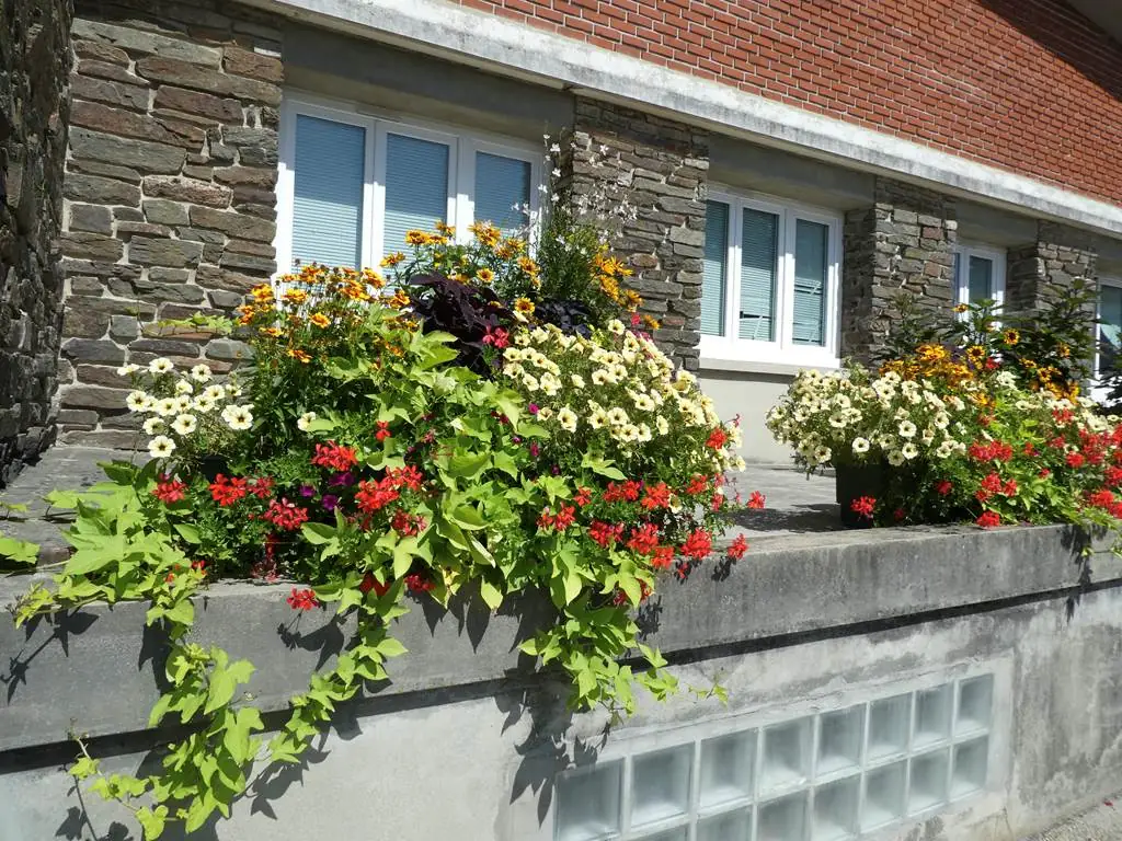 Rethel - Ville Fleurie 3 fleurs