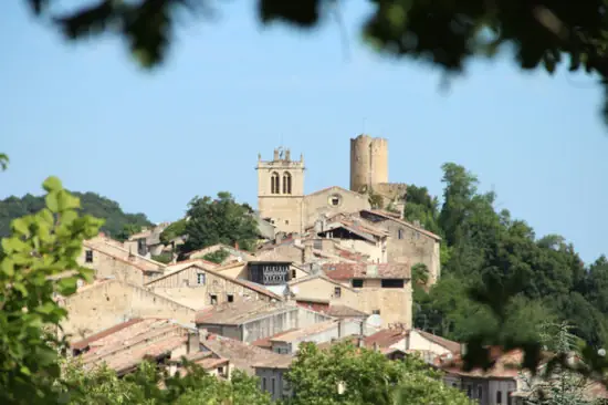VISITES DU CHÂTEAU COMTAL ET SON DONJON