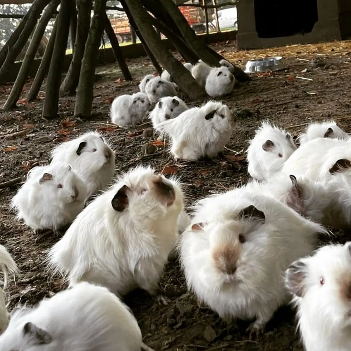 Ferme pédagogique de Ouézy