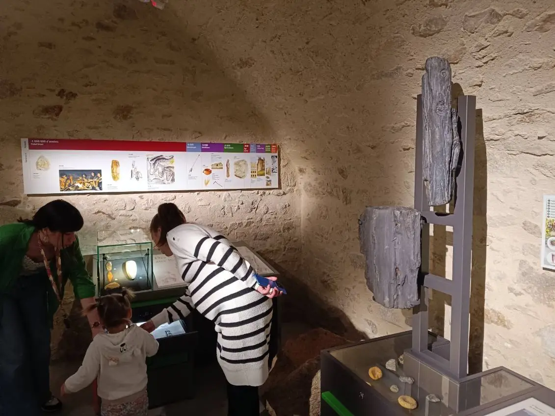 Visite guidée du Musée L'Abbaye