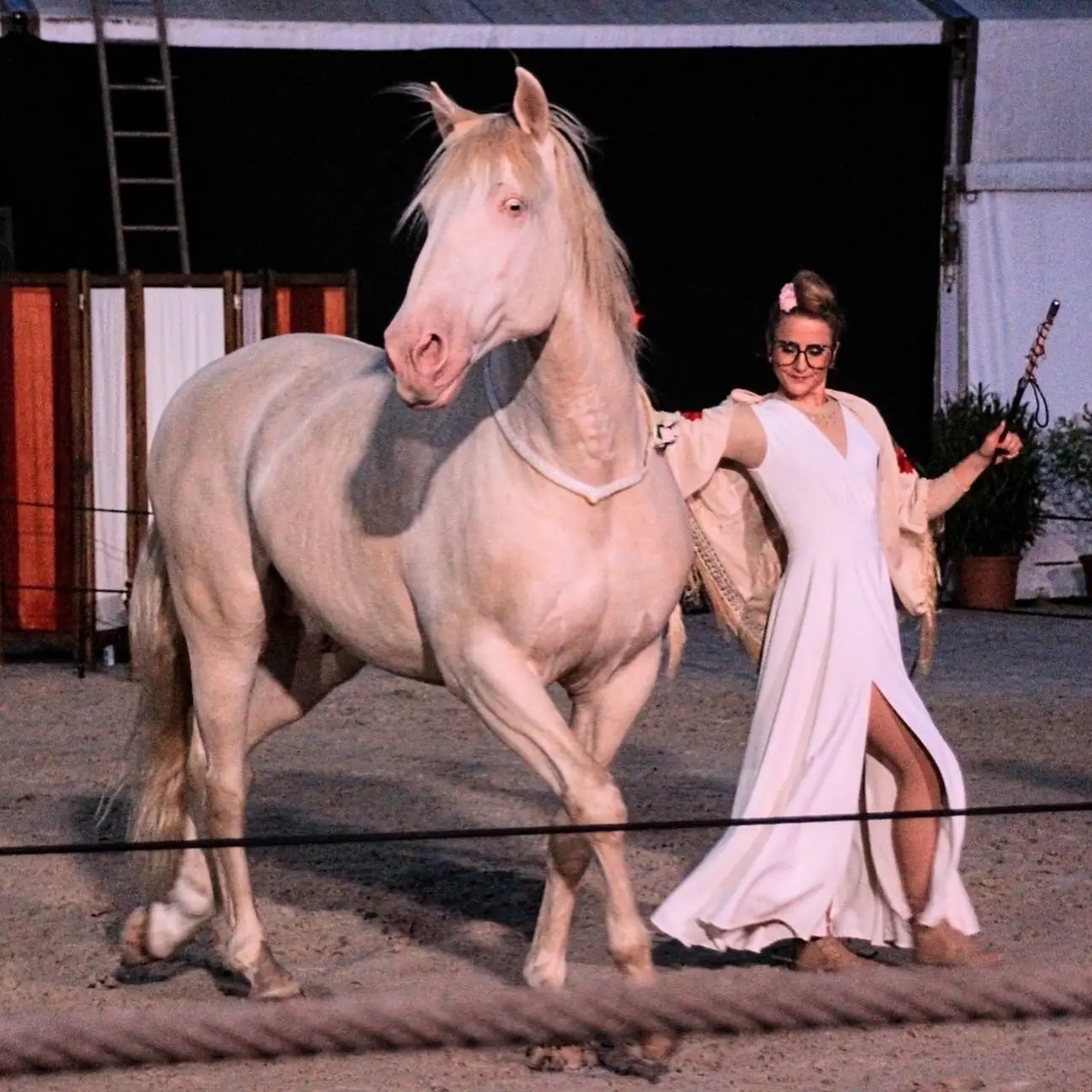 Théâtre équestre Hors(e) série - notes en cavale