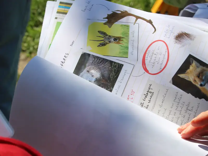 Enquête au marais à Terres d'Oiseaux