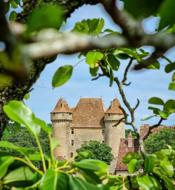 Château de Sarzay
