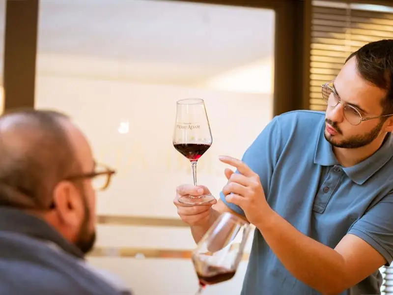 Parenthèse Vigneronne : Initiation à la dégustation