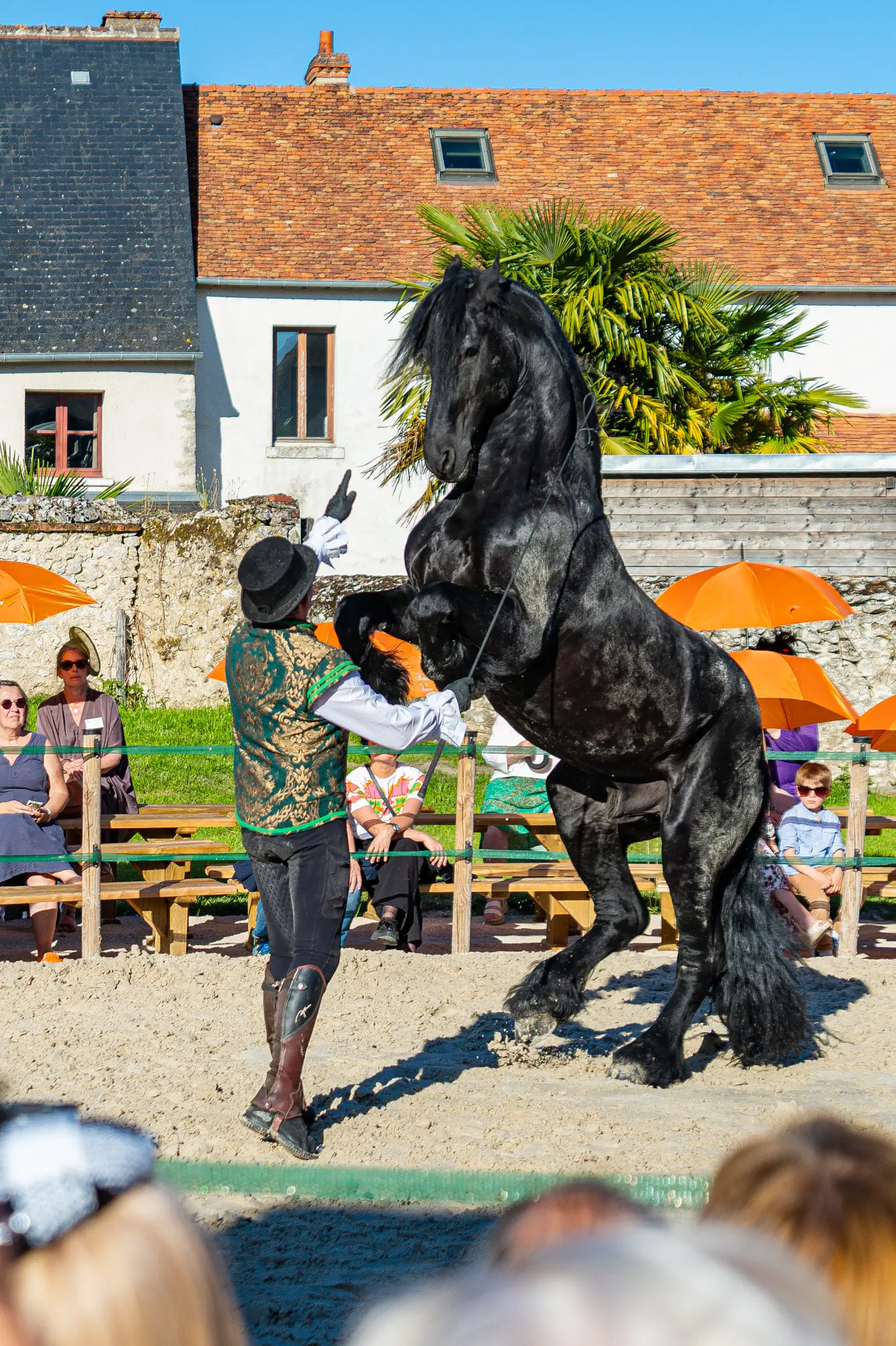 Spectacle équestre « Rencontre entre l’homme et le cheval »