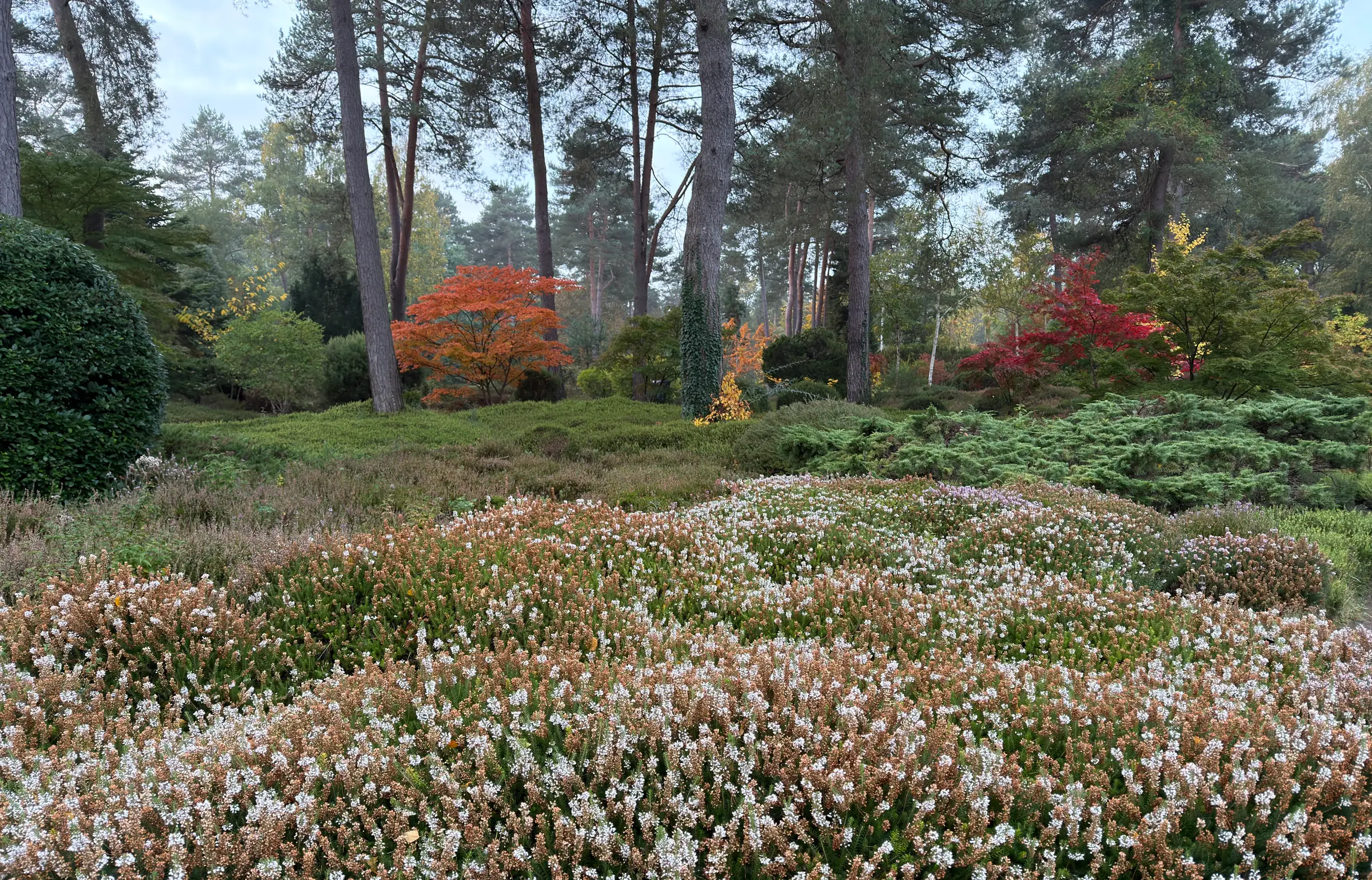 Dimanches d'Automne