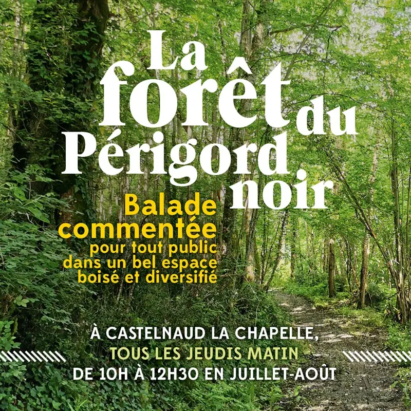 La Forêt du Perigord Noir: Balade commentée