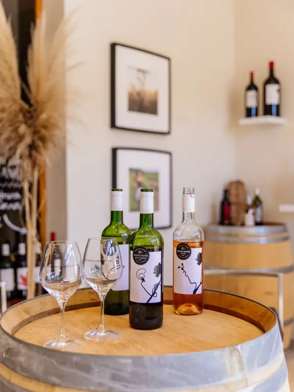 Tour du domaine et dégustation au Domaine du Grand Mayne